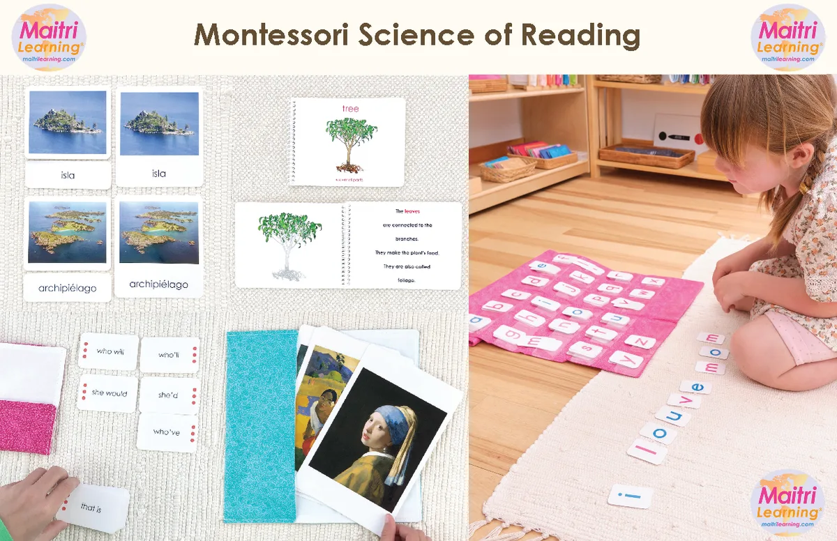 Montessori Science of Reading / MAITRE
